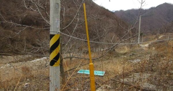 경상북도 문경시 동로면 석항리 OOO O OOOO 답 경매 물건 이미지