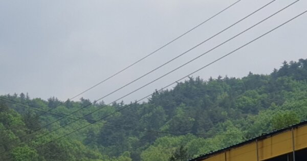 전라남도 장흥군 부산면 호계리 OOO 임야 경매 물건 이미지