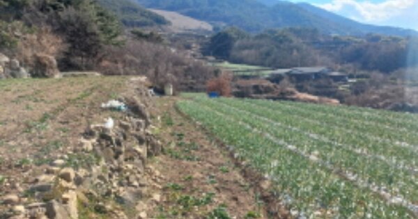 경상남도 남해군 서면 남상리 OOO 묘지 경매 물건 이미지