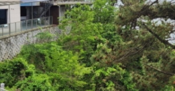 전북특별자치도 부안군 변산면 운산리 OOOOOOO 전 경매 물건 이미지
