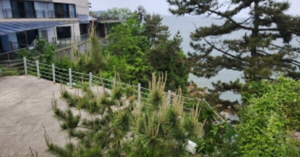 전북특별자치도 부안군 변산면 운산리 OOOOOOO 전 경매 물건 이미지