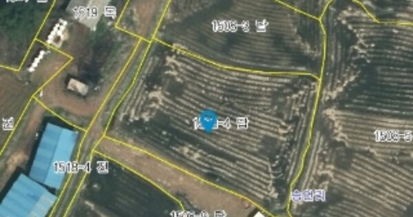충청남도 태안군 안면읍 승언리 OOOOOO 답 경매 물건 이미지