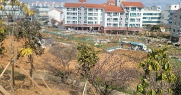 경상남도 통영시 광도면 죽림리 OOO 답 경매 물건 이미지