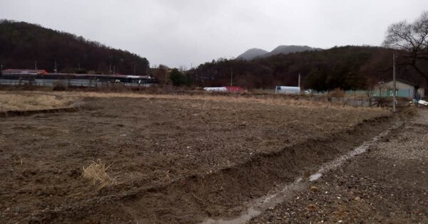 경기도 포천시 일동면 기산리 OOOOO O OOO 답 경매 물건 이미지