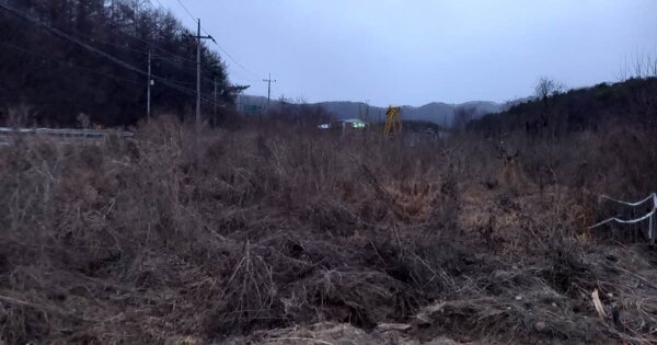 경기도 포천시 일동면 기산리 OOOOO 전 경매 물건 이미지