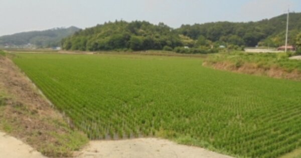 충청남도 부여군 임천면 발산리 OOOO 답 경매 물건 이미지