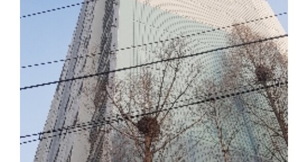 서울 관악구 신림동 1727, 101동 OOOOOOOO OOOOOOOOOOOO 아파트 경매 물건 이미지