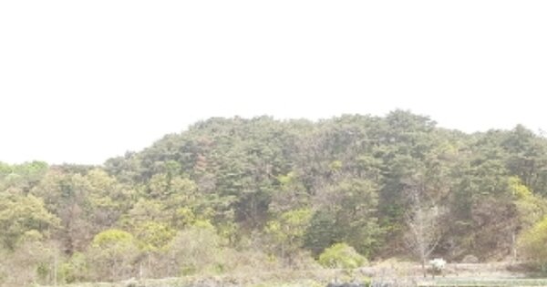 강원특별자치도 춘천시 신동면 팔미리 OOOOOO 임야 경매 물건 이미지