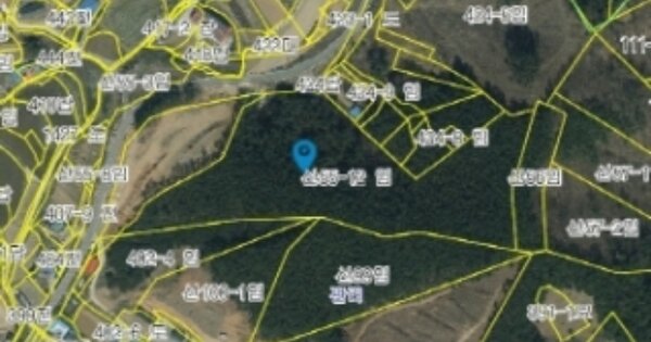 충청남도 태안군 이원면 관리 OOOOOO 임야 경매 물건 이미지