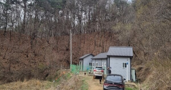 충청북도 보은군 보은읍 장속리 OOOOO O OOO 동물 및 식물 관련시설 경매 물건 이미지