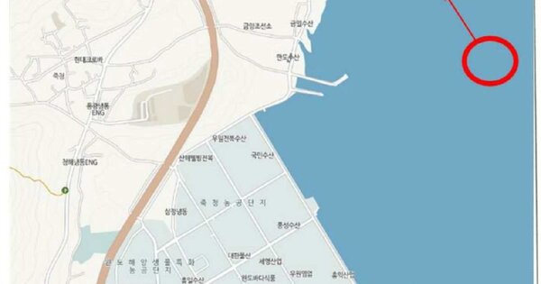 완도군 노화읍 선박 경매 물건 이미지