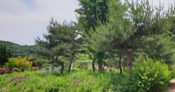 충청남도 예산군 덕산면 광천리 OOO 답 경매 물건 이미지