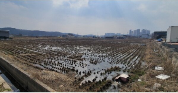 경상북도 영천시 조교동 OOOOO O OOO 답 경매 물건 이미지