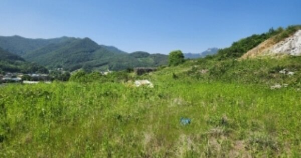 충청북도 괴산군 연풍면 원풍리 OOOOO O OOO 임야 경매 물건 이미지