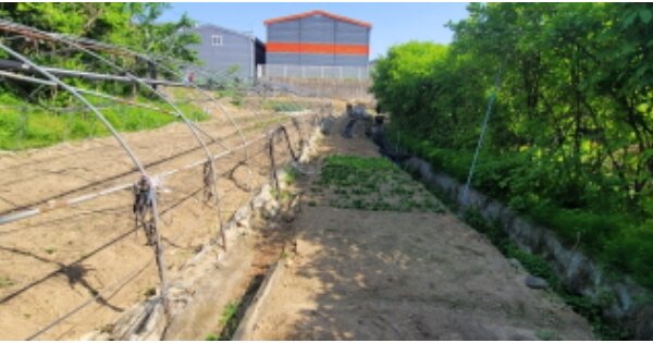 경기도 고양시 덕양구 동산동 OOOOO 전 경매 물건 이미지