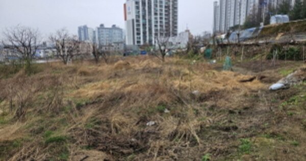 경기도 화성시 봉담읍 와우리 OOO 답 경매 물건 이미지