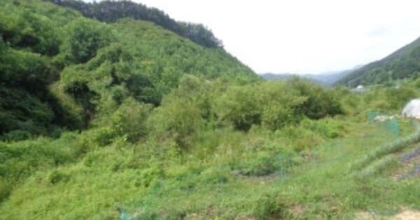 충청북도 괴산군 문광면 광덕리 OOOO 전 경매 물건 이미지