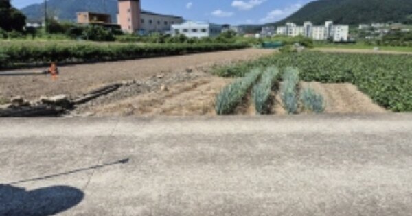 경상남도 고성군 거류면 신용리 OOOOO O OOO 대지 경매 물건 이미지