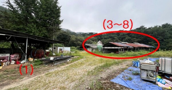 경기도 안성시 OOO OOO OOOOO OOO 동물 및 식물 관련시설 경매 물건 이미지