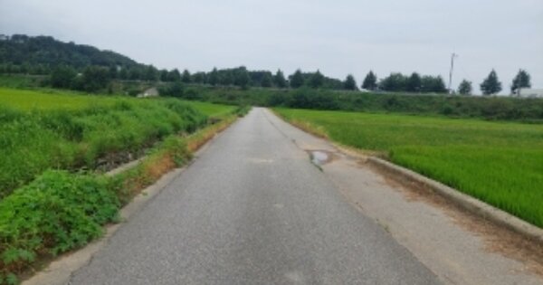 충청남도 아산시 영인면 신화리 OOOOO 답 경매 물건 이미지