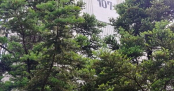 대전 동구 가오동 210, 107동 OOOOOO OOOOOOOOOOO 아파트 경매 물건 이미지