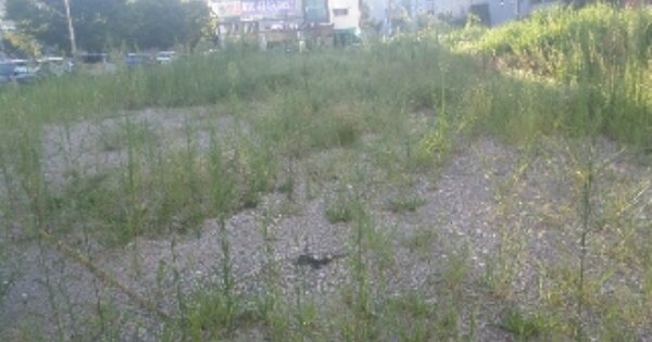 전북특별자치도 전주시 완산구 효자동2가 OOOOOO 대지 경매 물건 이미지