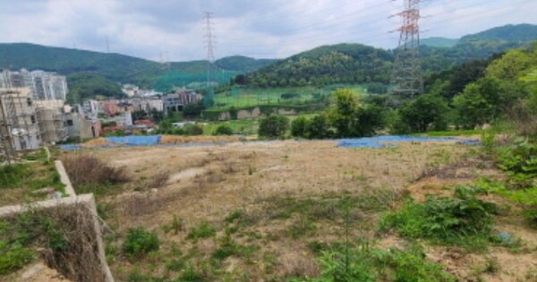경기도 용인시 기흥구 청덕동 OOOOO O OOO 임야 경매 물건 이미지