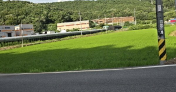 경상북도 칠곡군 지천면 연화리 OOO 답 경매 물건 이미지