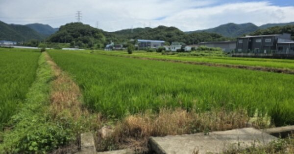 경상북도 칠곡군 가산면 송학리 OOOOO 답 경매 물건 이미지