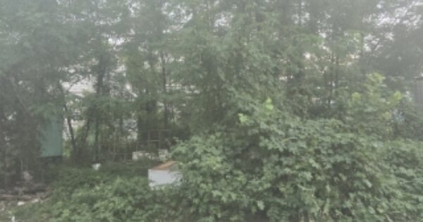 경상북도 칠곡군 북삼읍 인평리 OOOOOOO 대지 경매 물건 이미지