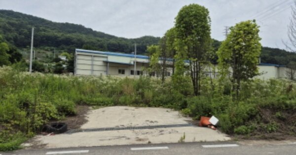세종특별자치시 부강면 금호리 OOOOO O OOO 답 경매 물건 이미지