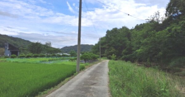 대전광역시 유성구 세동 OOOOO 답 경매 물건 이미지