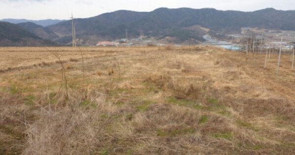 경상남도 거창군 웅양면 동호리 OOO 답 경매 물건 이미지