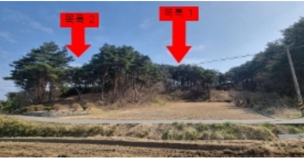 강원특별자치도 고성군 죽왕면 삼포리 OOOOO 임야 경매 물건 이미지