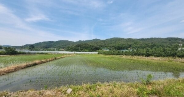 충청북도 영동군 매곡면 유전리 OOO 답 경매 물건 이미지