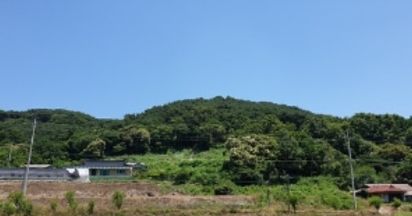 충청남도 홍성군 결성면 용호리 OOOOO 임야 경매 물건 이미지