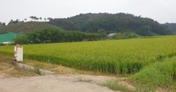 충청남도 홍성군 서부면 어사리 OOOOO 답 경매 물건 이미지