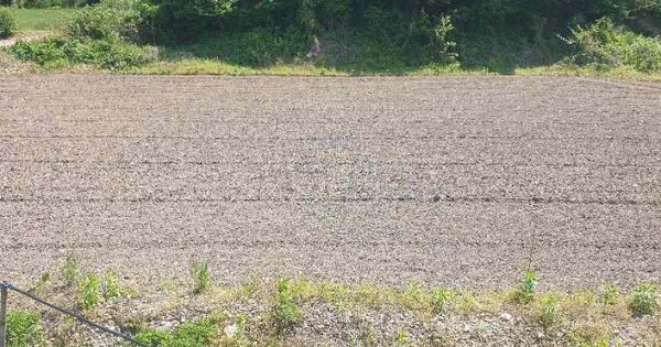 충청남도 논산시 벌곡면 어곡리 OO 답 경매 물건 이미지