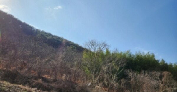 경상남도 고성군 상리면 신촌리 OOOO 임야 경매 물건 이미지