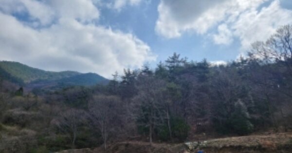 경상남도 고성군 하이면 봉현리 OOOOO 임야 경매 물건 이미지