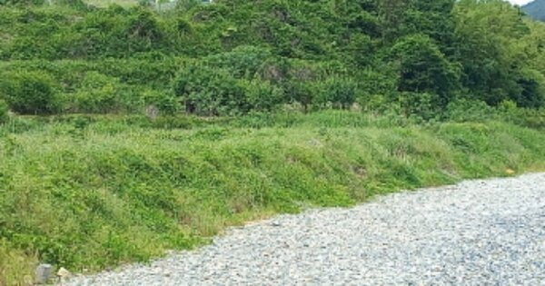 경상남도 거제시 일운면 옥림리 OOOOO O OOO 답 경매 물건 이미지