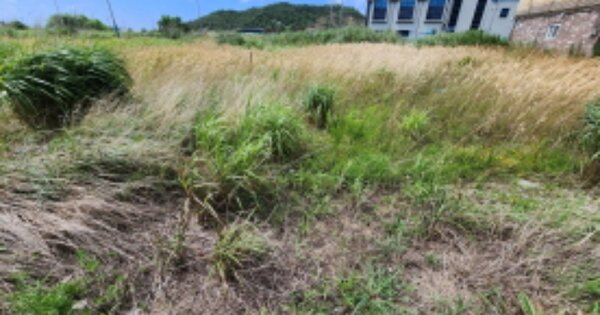 전북특별자치도 군산시 비응도동 OOOO 대지 경매 물건 이미지