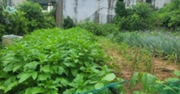 경상남도 거제시 사등면 청곡리 OO 전 경매 물건 이미지