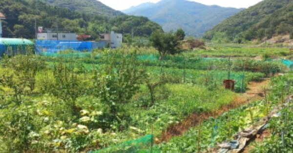 경상남도 거제시 동부면 구천리 OOO O OOO 전 경매 물건 이미지