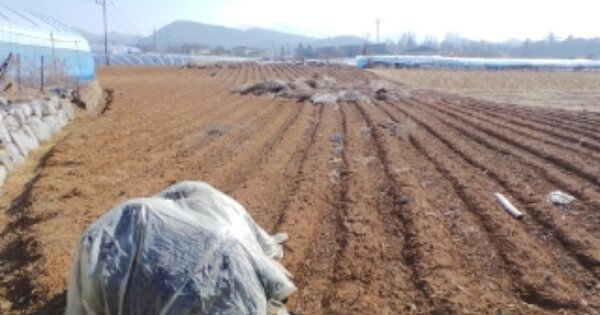 강원특별자치도 영월군 영월읍 영흥리 OOOO 전 경매 물건 이미지