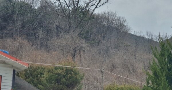 경상북도 성주군 초전면 소성리 OOOOO 임야 경매 물건 이미지