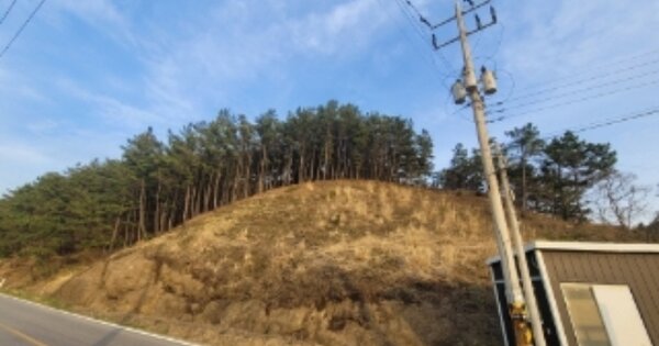 경상북도 포항시 남구 동해면 마산리 OOOO 임야 경매 물건 이미지