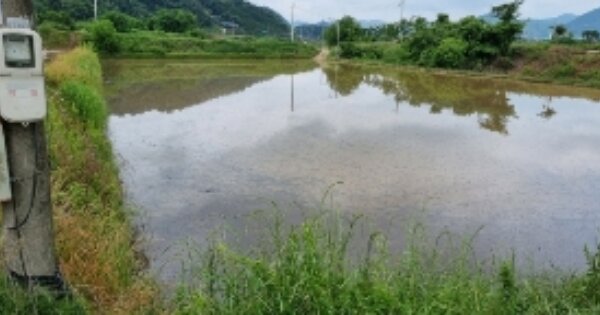 전북특별자치도 순창군 풍산면 상촌리 OOOOO 답 경매 물건 이미지