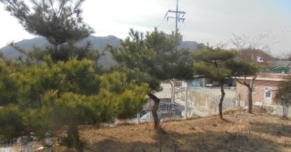 충청북도 충주시 중앙탑면 하구암리 OOOOO 단독주택 경매 물건 이미지