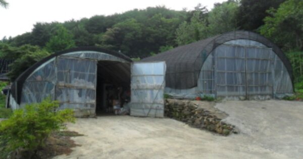 전북특별자치도 고창군 해리면 송산리 OOO 대지 경매 물건 이미지